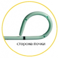 Сторона почки