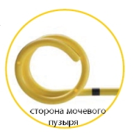 Сторона мочевого пузыря