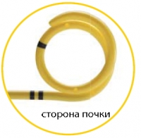 Сторона почки