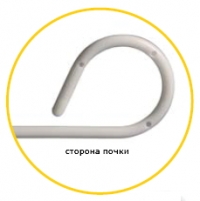 Сторона почки