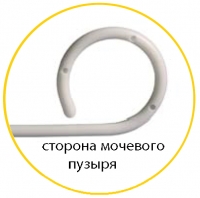 Сторона мочевого пузыря