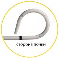 Сторона почки