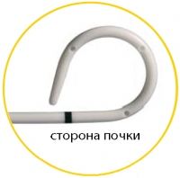 Сторона почки