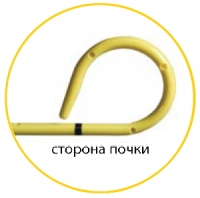 Сторона почки